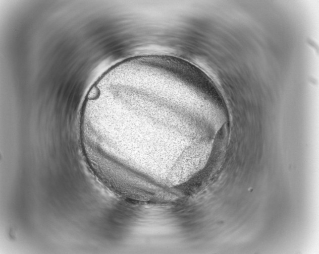 X0000093431008200711021030