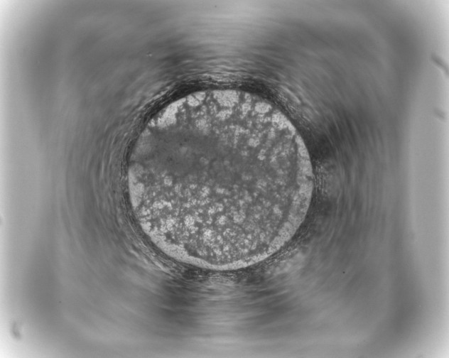 X0000093431009200711021030