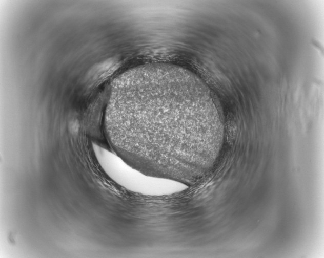 X0000093431010200711021030