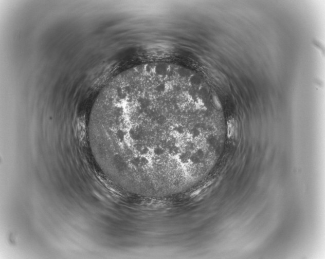 X0000093431011200711021030