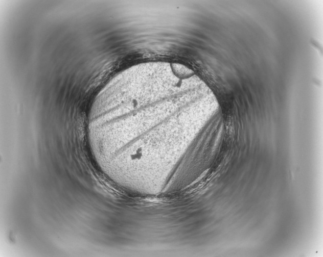 X0000093431012200711021030