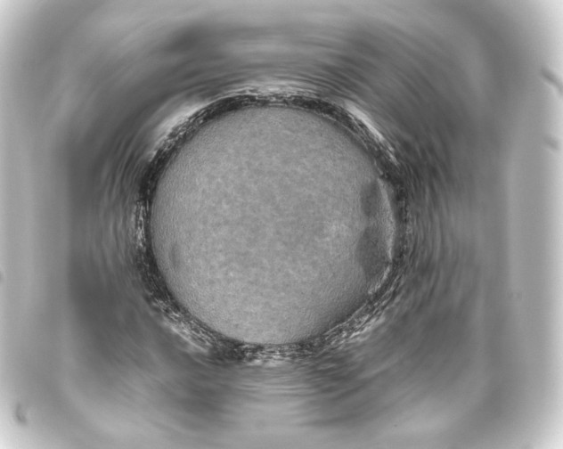 X0000093431016200711021030