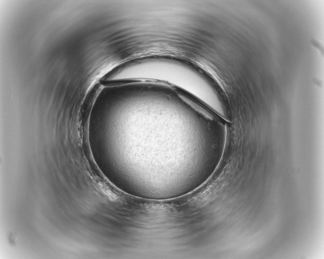 X0000093431018200711021030