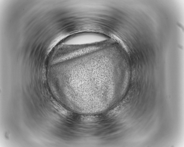 X0000093431019200711021030