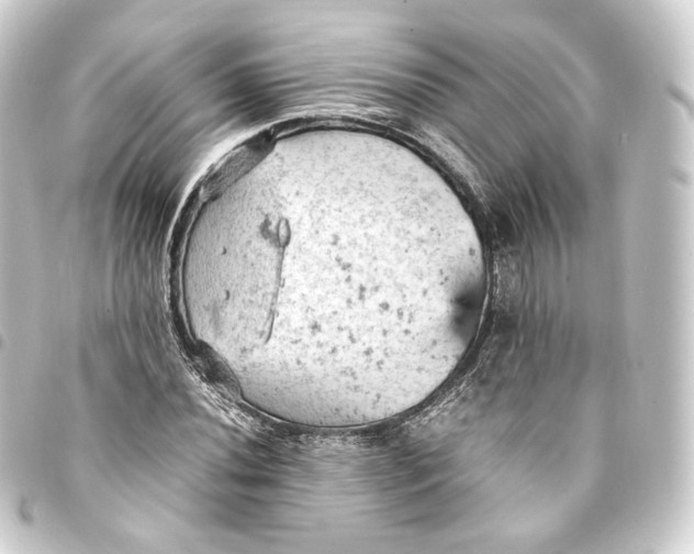 X0000093431020200711021030