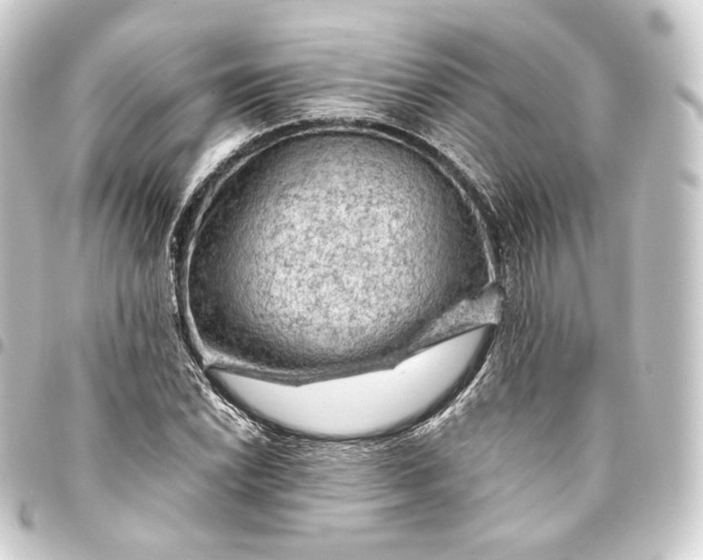 X0000093431022200711021030