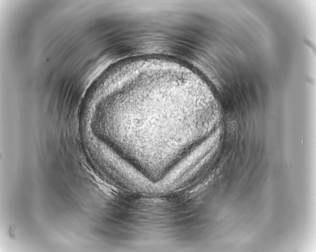 X0000093431023200711021030