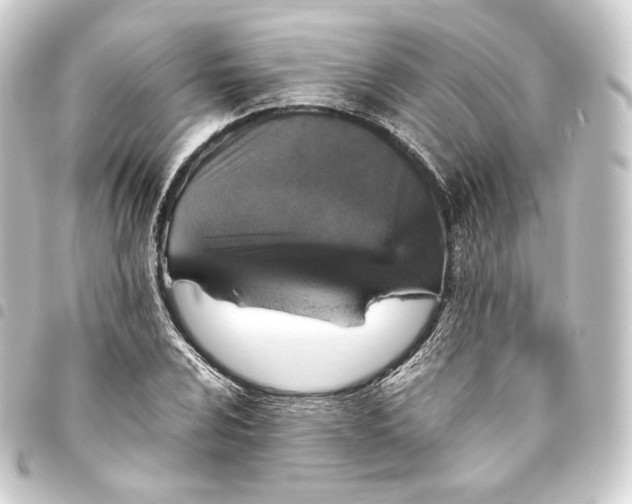 X0000093431024200711021030