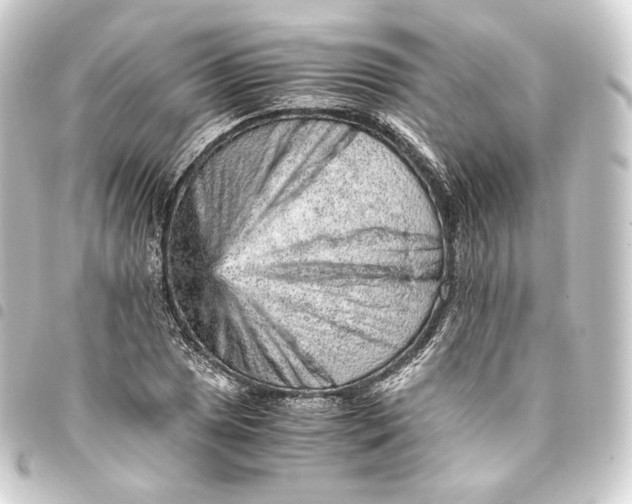 X0000093431025200711021030