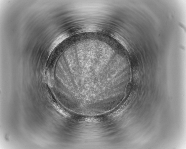 X0000093431026200711021030