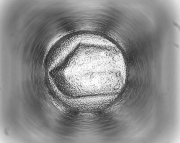 X0000093431027200711021030