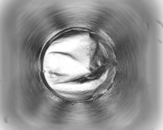 X0000093431028200711021030