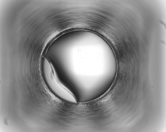 X0000093431029200711021030