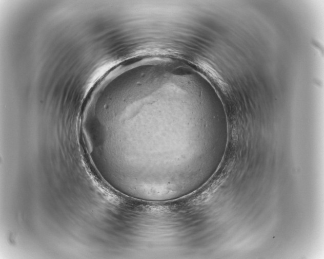 X0000093431030200711021030