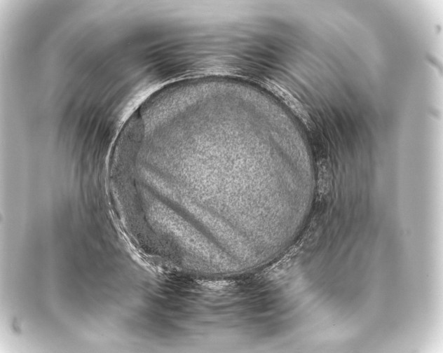 X0000093431031200711021030