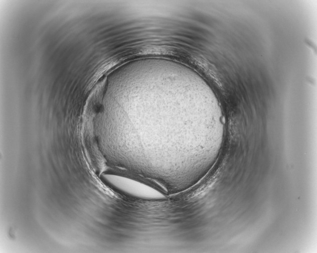 X0000093431033200711021030