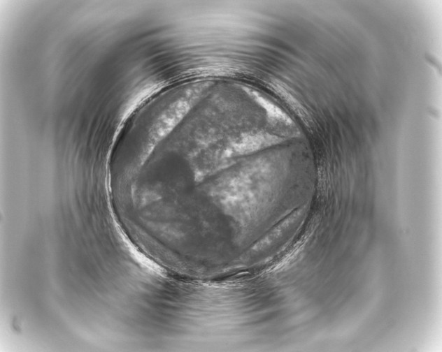 X0000093431034200711021030