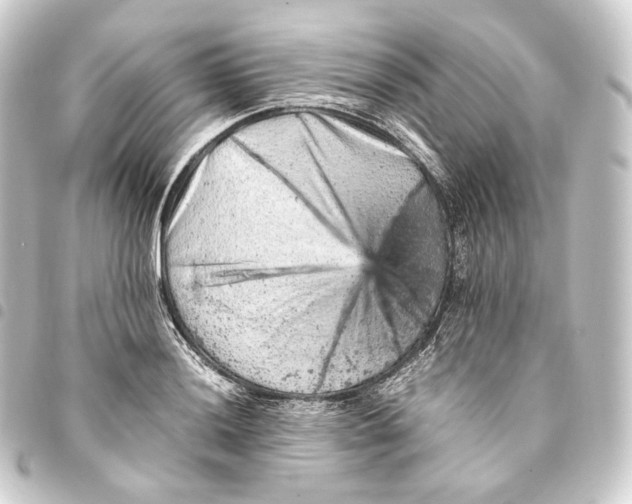 X0000093431036200711021030