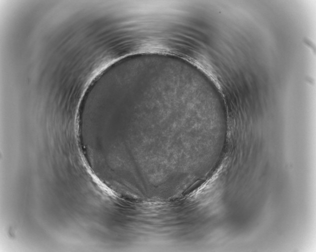 X0000093431037200711021030