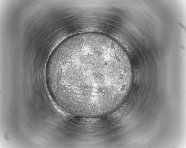 X0000093431039200711021030