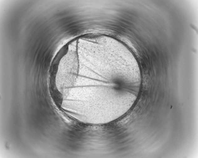 X0000093431040200711021030