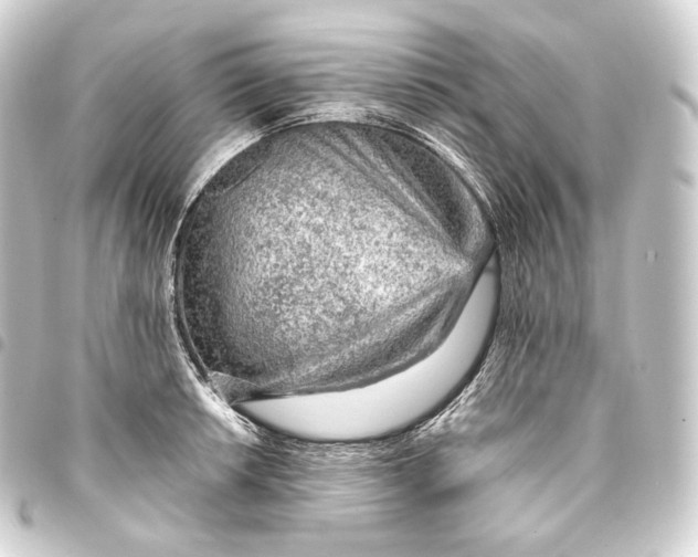 X0000093431042200711021030