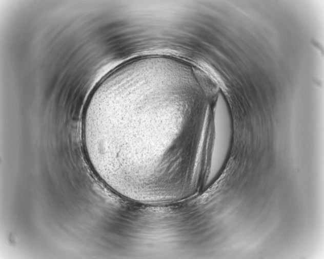 X0000093431044200711021030