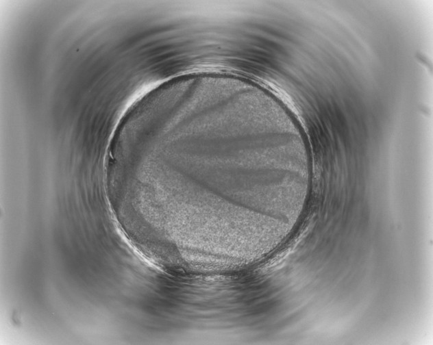 X0000093431045200711021030