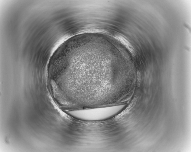 X0000093431046200711021030