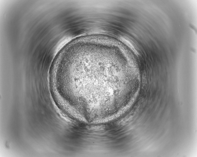 X0000093431047200711021030