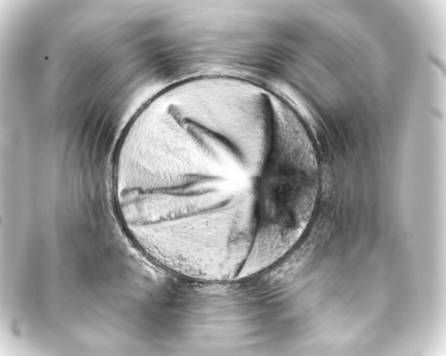 X0000093431048200711021030