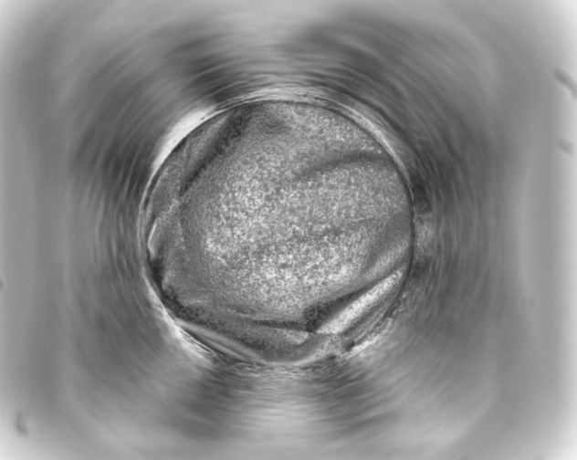 X0000093431050200711021030