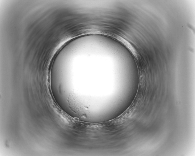 X0000093431051200711021030