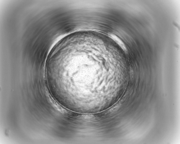 X0000093431052200711021030