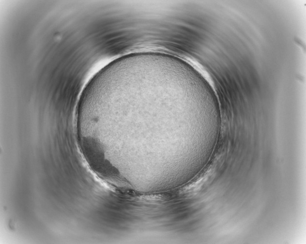 X0000093431053200711021030