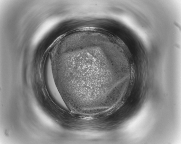 X0000093431054200711021030