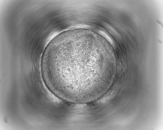 X0000093431055200711021030