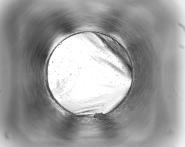 X0000093431056200711021030