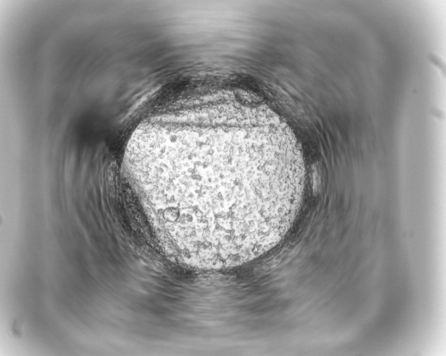 X0000093431059200711021030