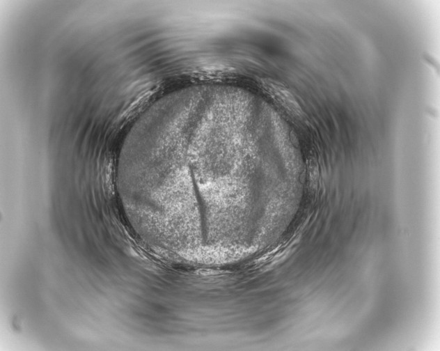 X0000093431060200711021030