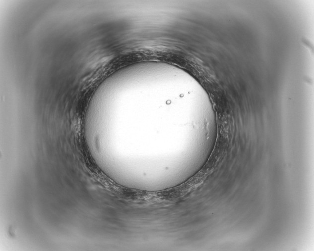 X0000093431061200711021030