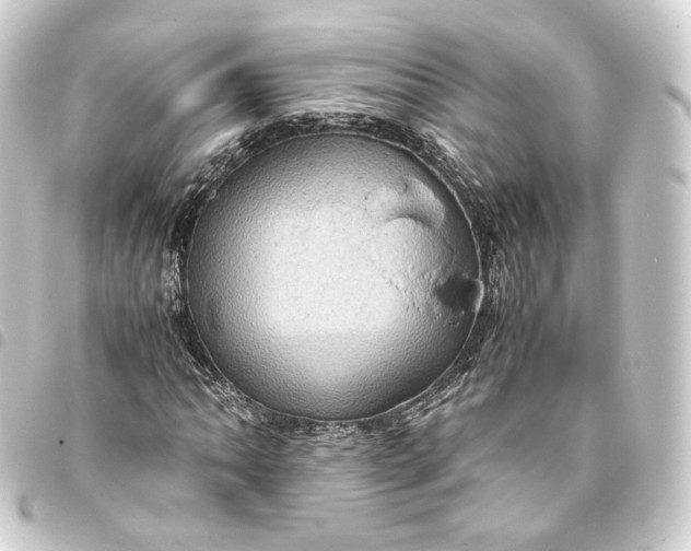 X0000093431062200711021029