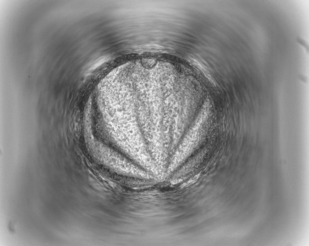 X0000093431063200711021029