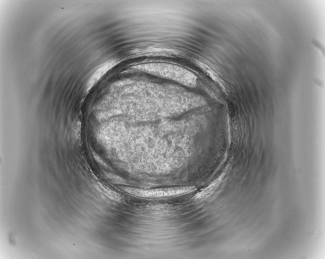 X0000093431066200711021029