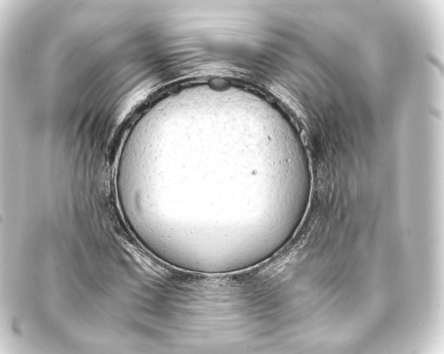 X0000093431067200711021029