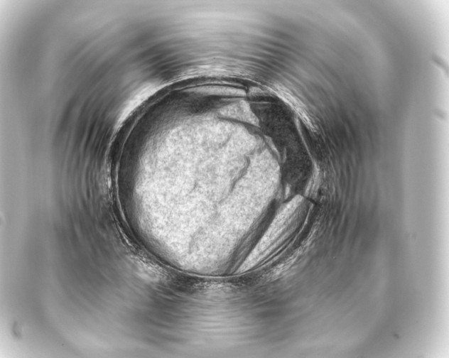 X0000093431070200711021029