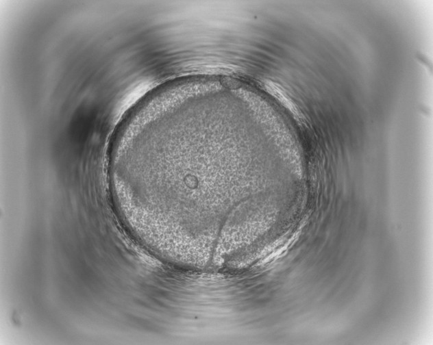 X0000093431071200711021029