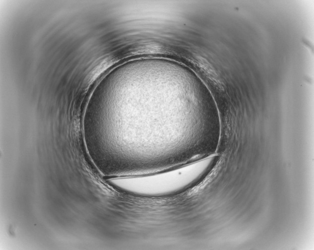 X0000093431073200711021029