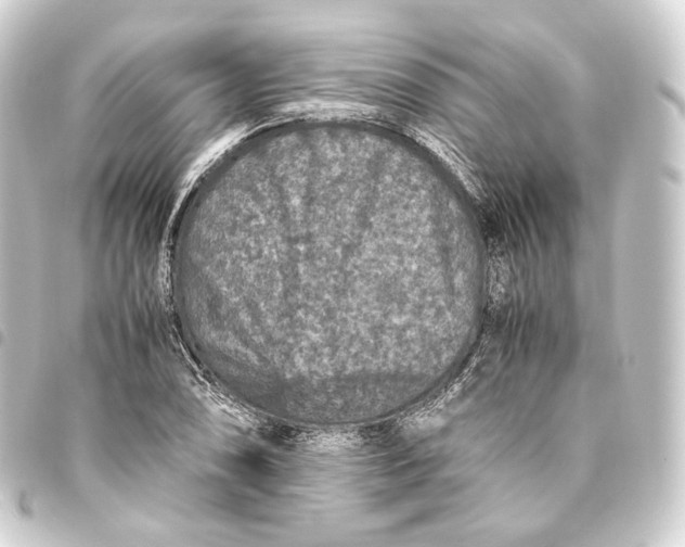 X0000093431074200711021029