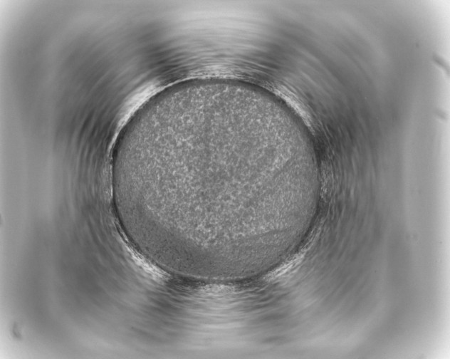 X0000093431075200711021029